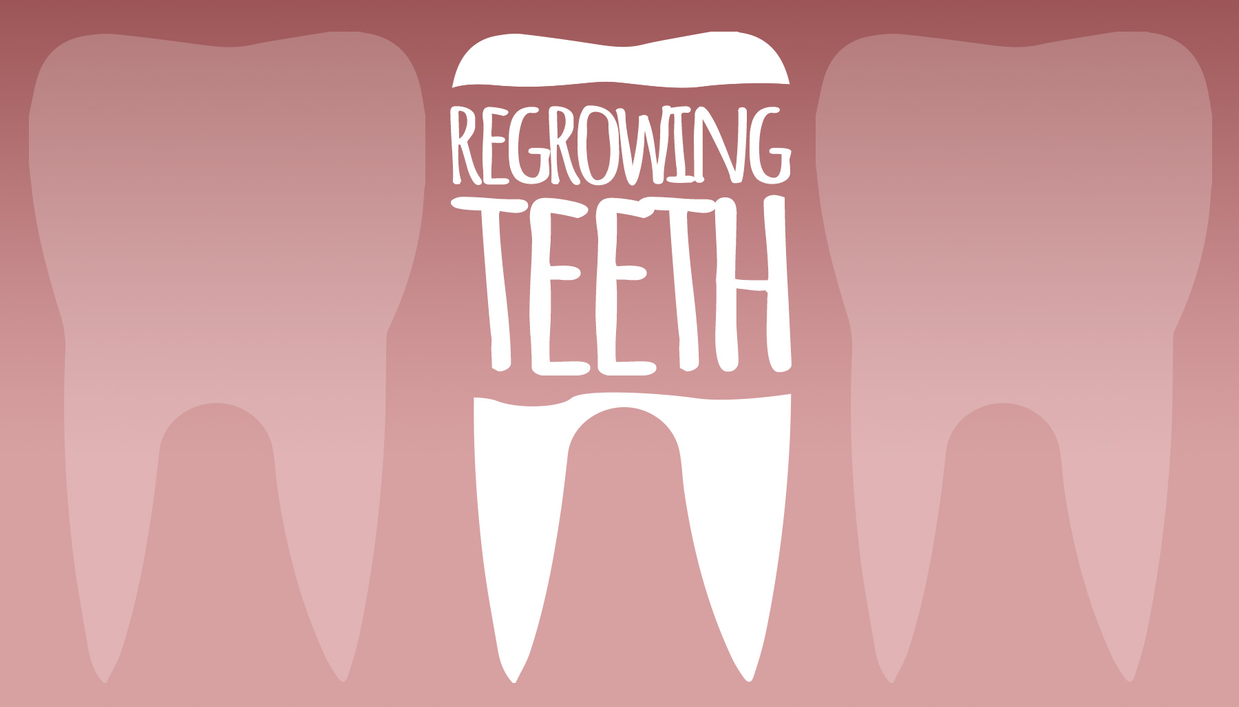 Regrowing Teeth